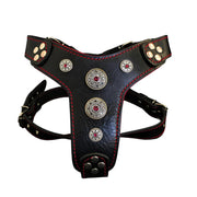The ''Bijou'' harness Black & Red Small to Medium Size