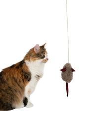 Natural Woolen Cat Toy: Mouse