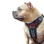 The ''Haunted'' harness LIMITED