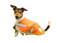 Waterproof Dog Coat - Orange