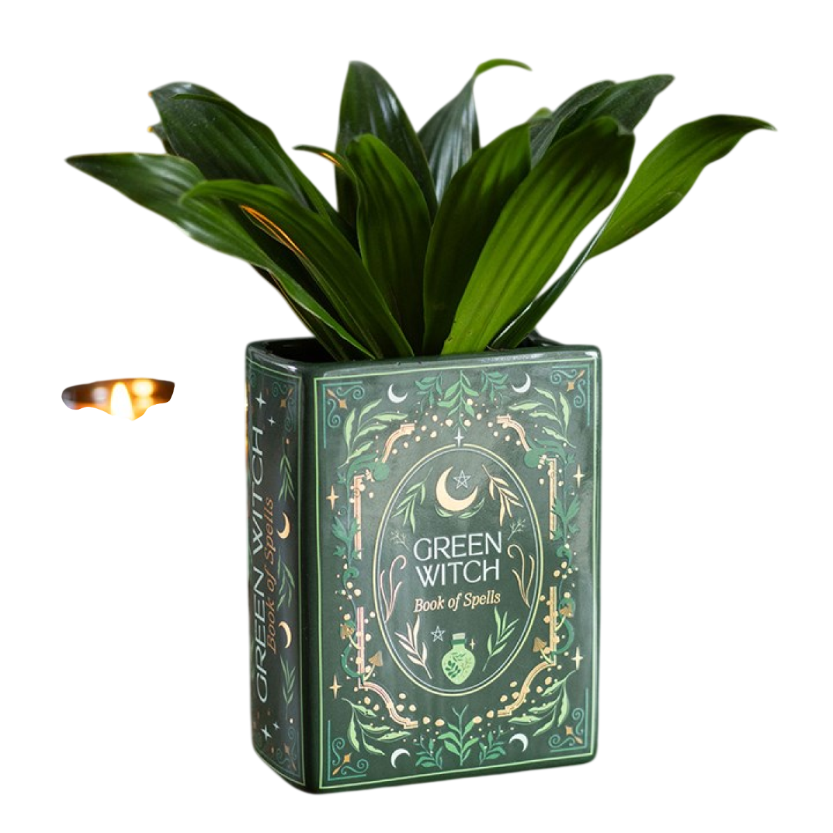 Green Witch Book Shaped Vase