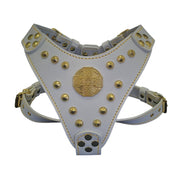 The ''Maximus'' harness White & Gold Small to Medium Size