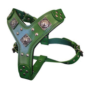 The "Eros" harness GREEN