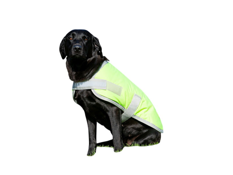 Waterproof Dog Coat - High Viz Yellow