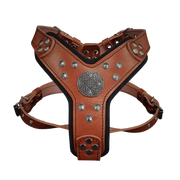 The ''Maximus'' harness brown & silver Small to Medium Size