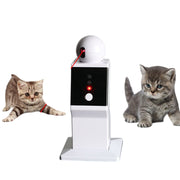 Robotic Cat Playmate with Interactive Smart Toys