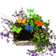 Small Garden Décor Ornaments Set of 5 'Gatekeeper Butterfly'