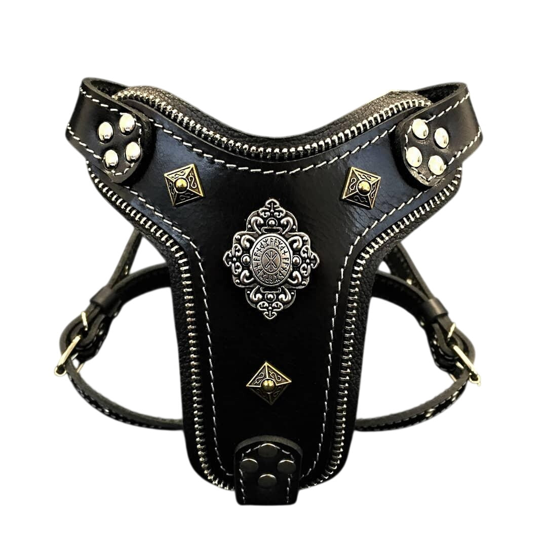The ''Aztec'' harness Black Small to Medium Size