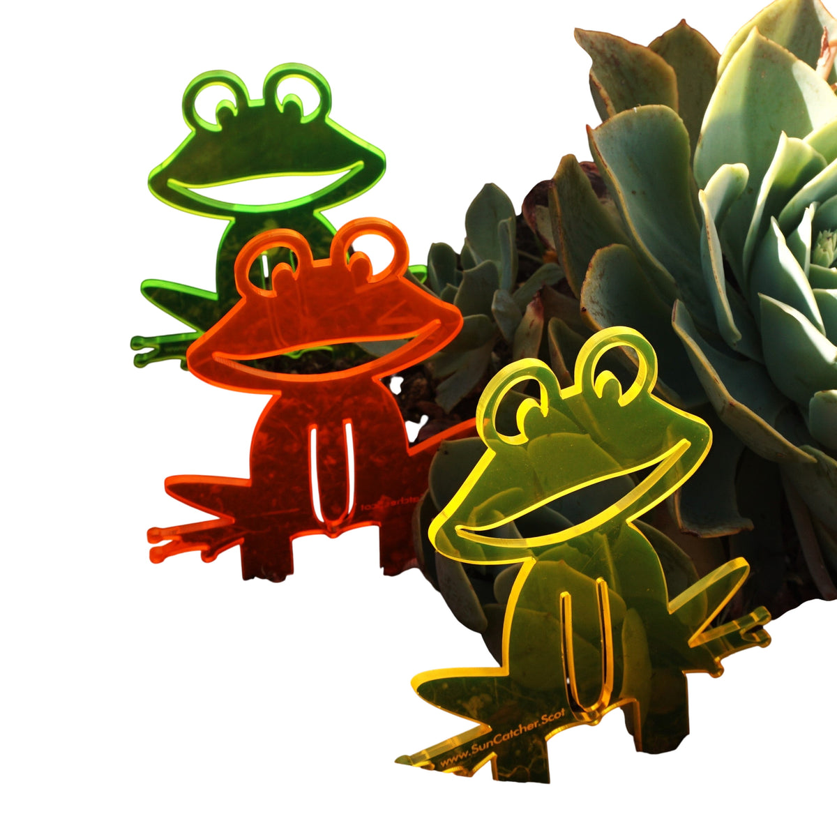 Garden Décor Ornament Stakes Set of 5 'Happy Frogs'