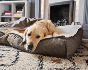 THE LINCOLN | LUXURY TWEED FLAT PILLOW DOG BED